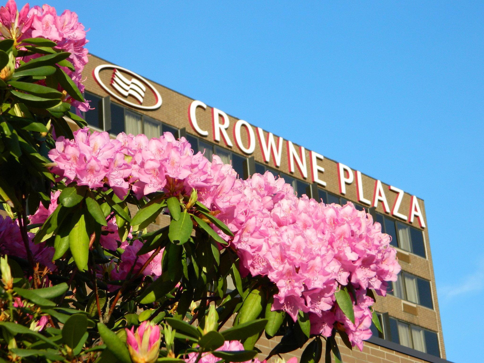 Crowne Plaza Danbury, An Ihg Hotel Exterior foto